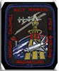 stsh119